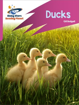 cover image of Ducks